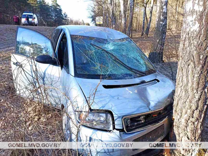 В Гомельской области водитель потерял сознание за рулем, выехал на обочину и насмерть сбил велосипедиста
