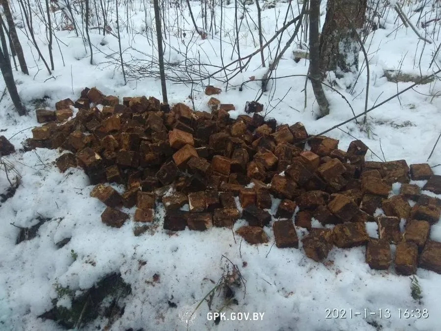 В 300 метрах от автозаправки. На Гомельщине обнаружили крупное хранилище боеприпасов времен Великой Отечественной войны