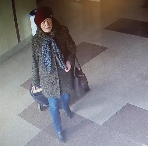 ОВД Житковичского райисполкома устанавливает личность женщины