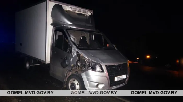 В Житковичском районе пьяный велосипедист погиб под колесами грузовика