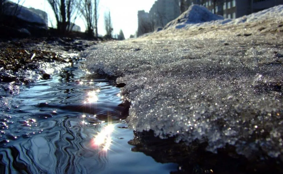 Кратковременные дожди и до +6°C обещают синоптики в Гомеле 25 января