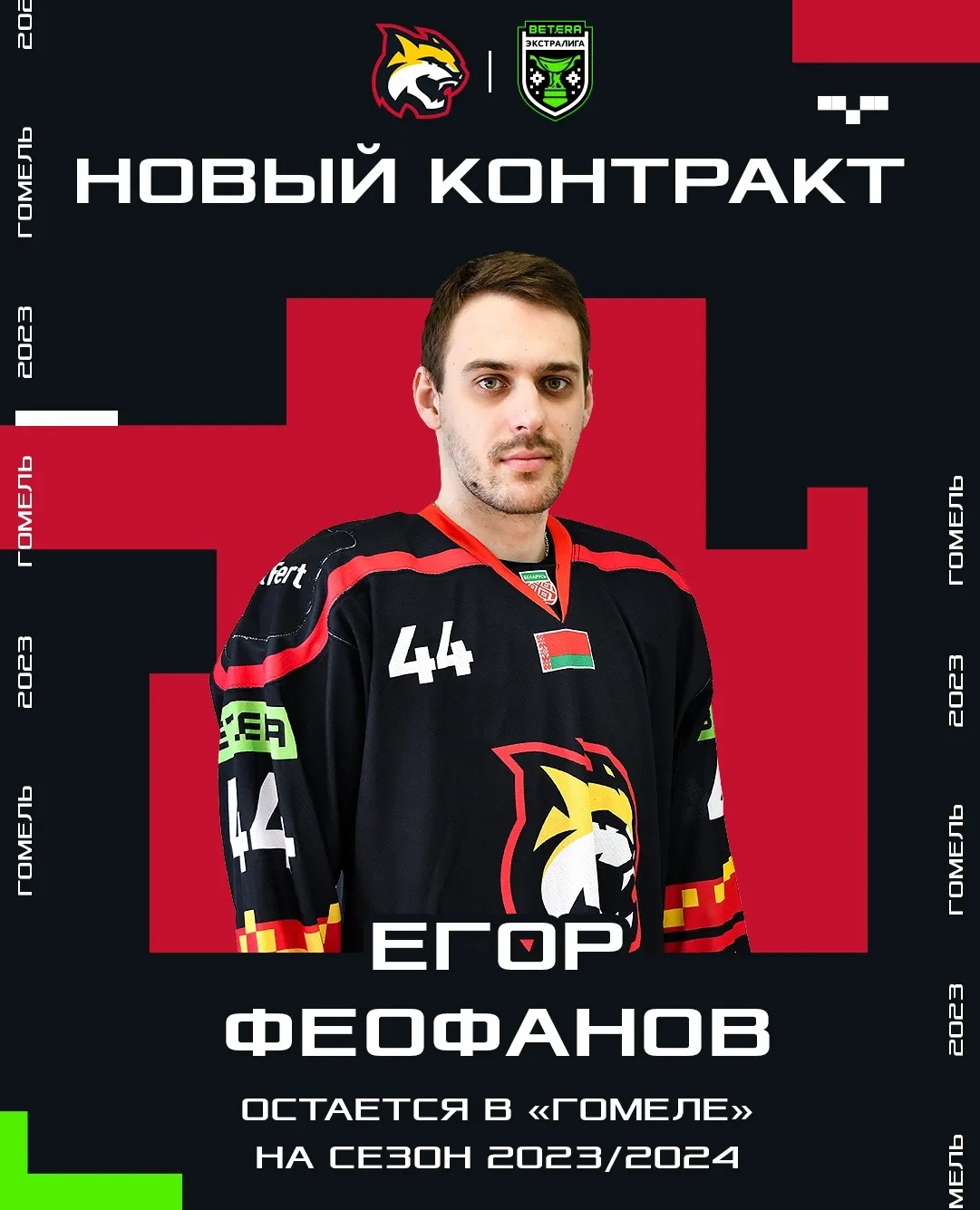 В составе хоккейного "Гомеля" мощное пополнение