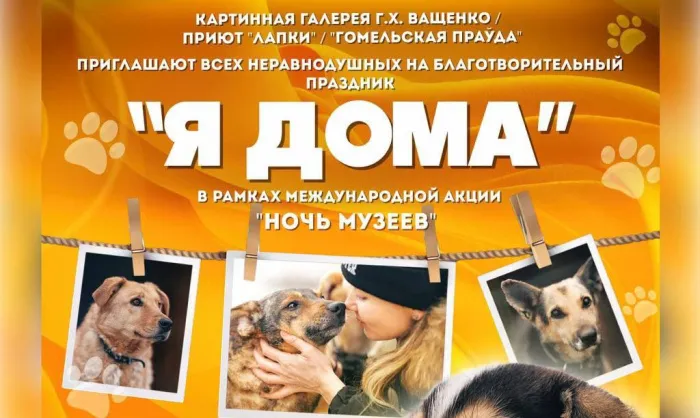 24 мая в Гомеле в рамках Международной акции «Ночь музеев» пройдет благотворительный праздник «Я дома»