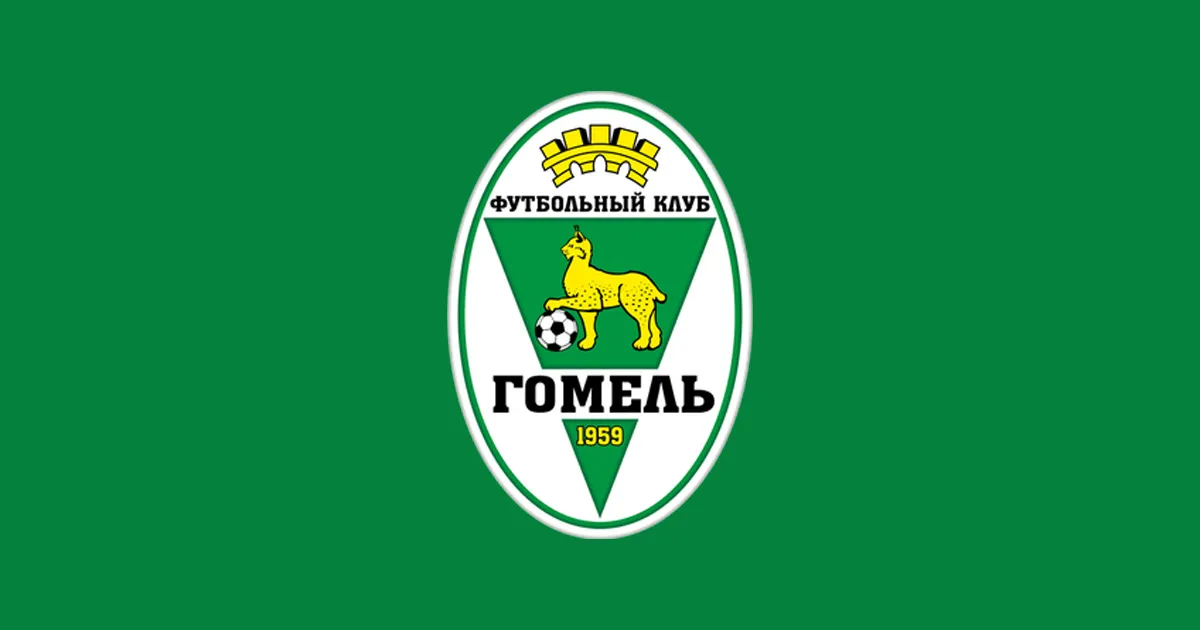 Определена пятерка лучших голов футболистов "Гомеля" в минувшем сезоне