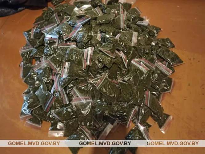 В Мозыре мужчина дома торговал насваем. Изъято более 12 кг товара