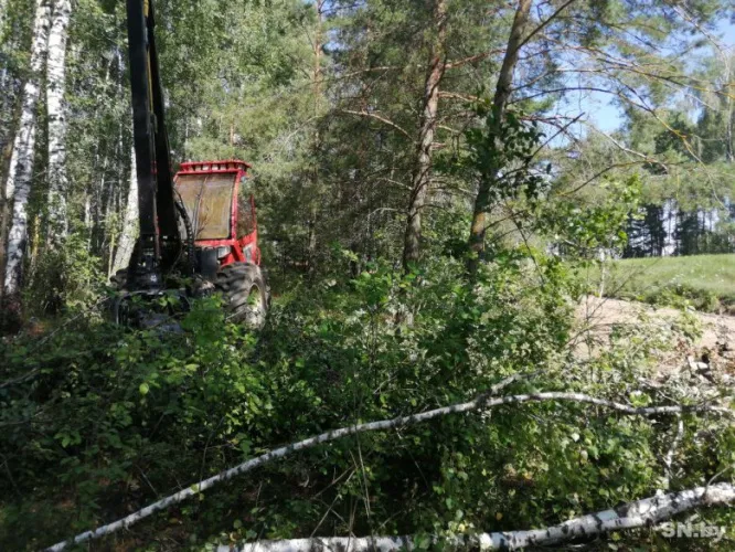 В Светлогорском районе продолжается ликвидация последствий обрушившегося на Беларусь урагана