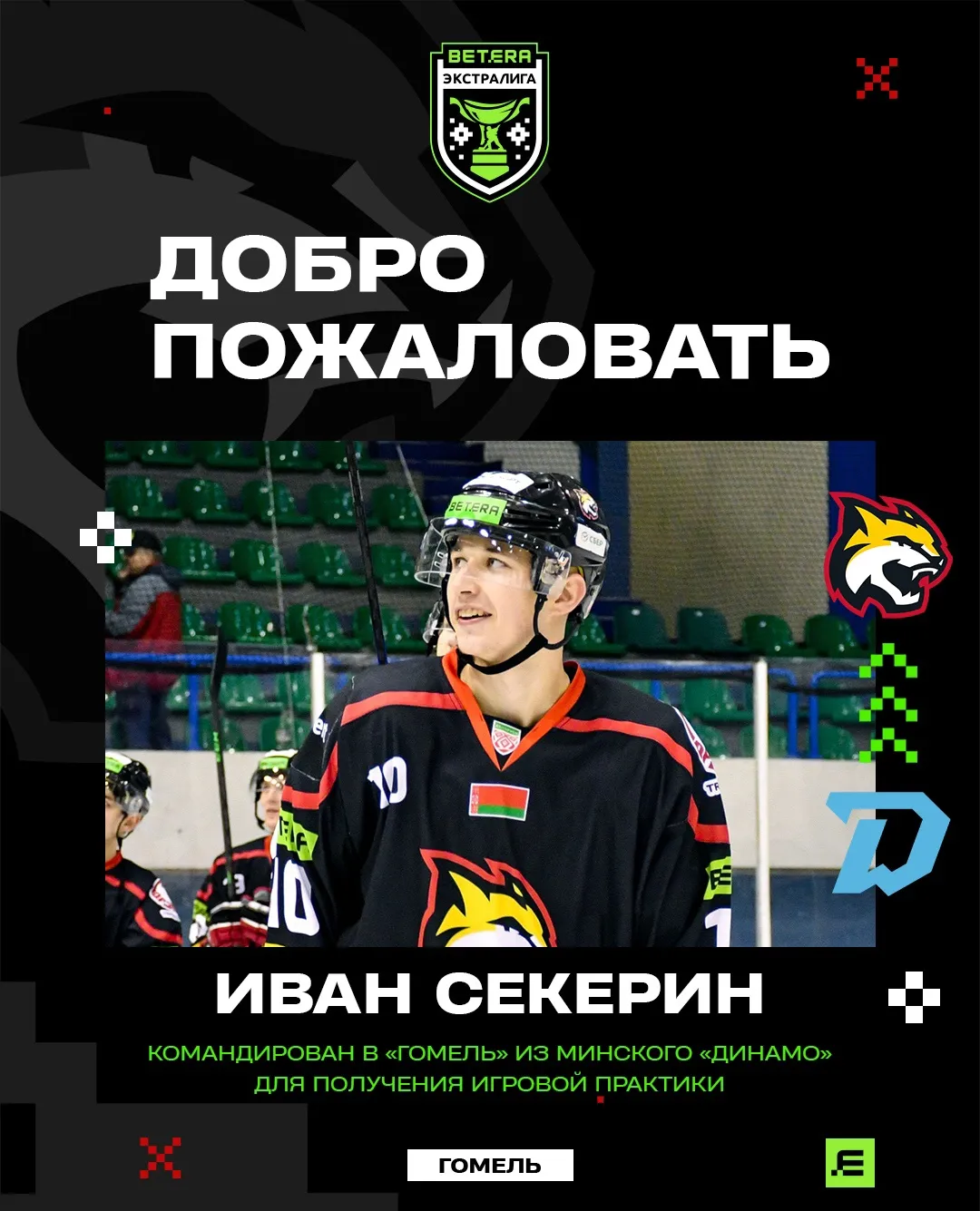 Нападающий Иван Секерин вернулся в ХК "Гомель"