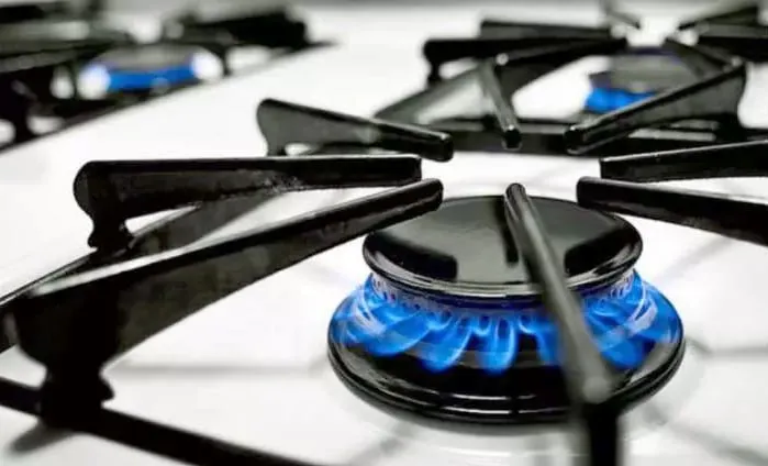 Выбор газовой плиты