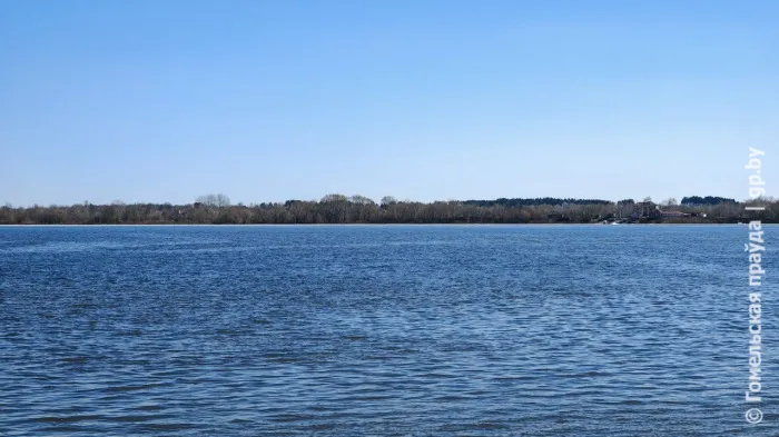 Изменится ли на реках Гомельской области уровень воды, узнали у гидрологов