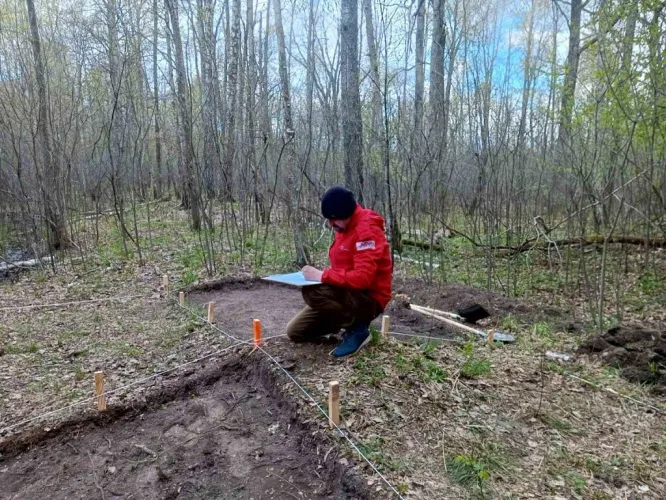 Археологи нацпарка «Припятский» приступили к раскопкам памятника эпохи Древней Руси