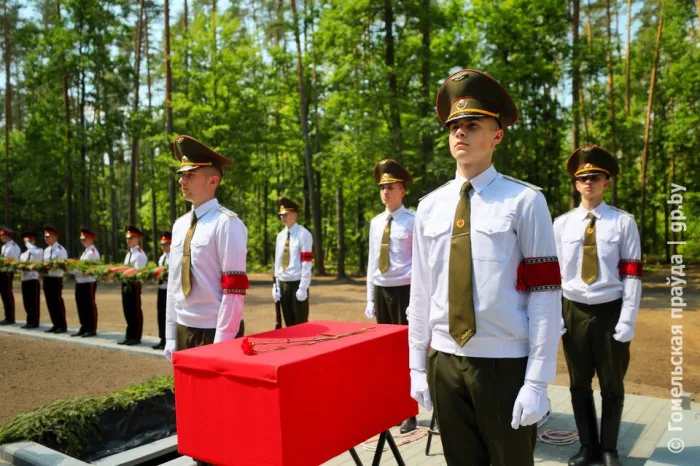 В ченковском лесу под Гомелем перезахоронили останки 489 человек, расстрелянных в годы Великой Отечественной войны 