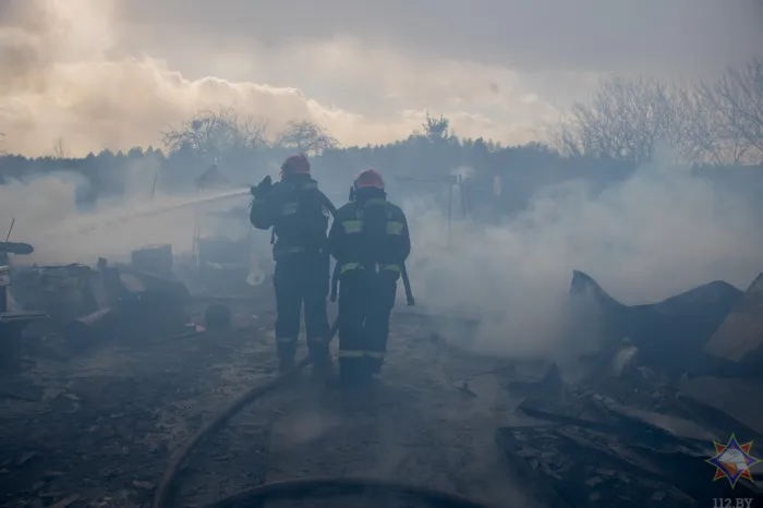 Подразделения МЧС ликвидировали пожар в Гомельском районе
