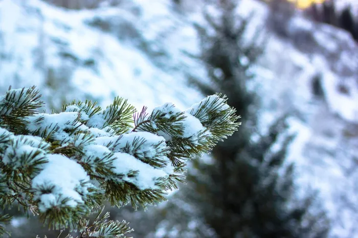 Осадки, гололед и до +2°C ожидается в Гомеле 21 декабря