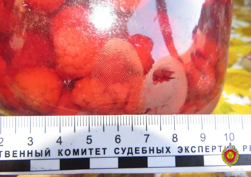 В Буда-Кошелевском районе дачный вор оставил отпечаток пальца на банке и был найден