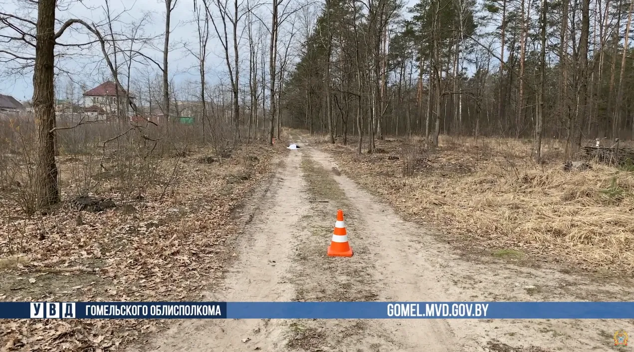 Под Гомелем обнаружено тело мужчины. Сыщики задержали подозреваемого в убийстве по горячим следам