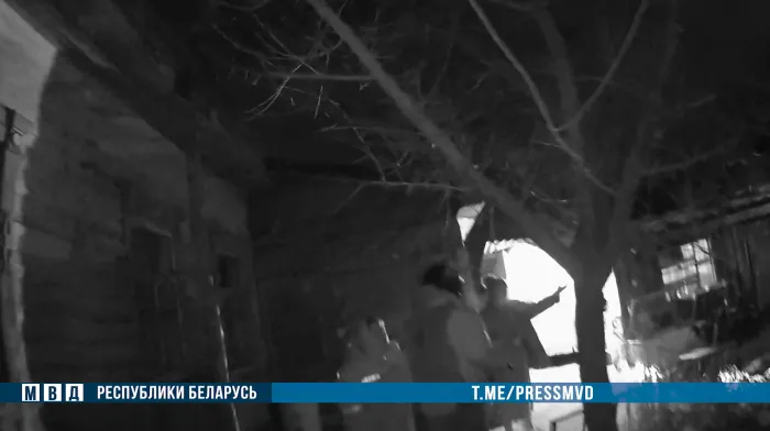Пытался загрызть собаку: в Хойникском районе милиционеры обезвредили волка