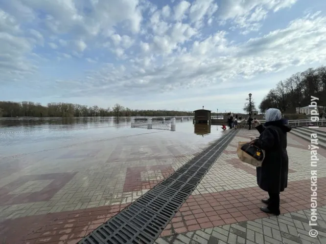 Фотофакт: посмотрите, как во время паводка выглядит набережная в Гомеле 