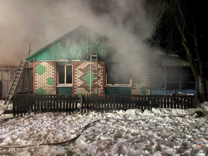 В Рогачевском районе на пожаре погибла хозяйка дома