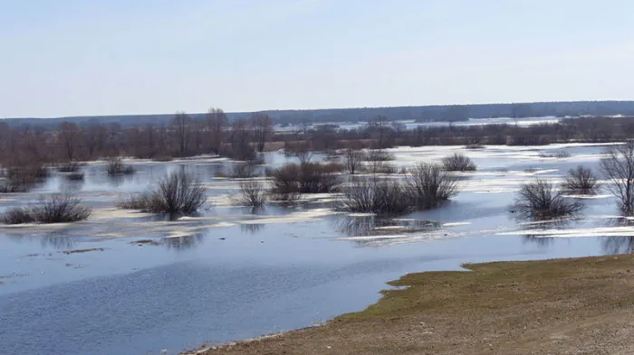 Откачать – откачали, а вода прибывает? Доставляют ли проблемы жлобинчанам талые и паводковые воды