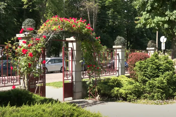 Цирковой open-air пройдёт в Гомеле