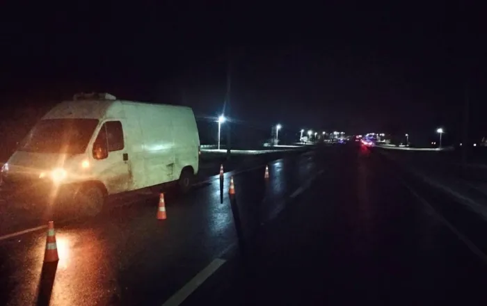 В ДТП в Рогачевском районе погиб пешеход