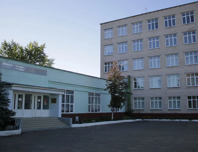 Из окна Добрушского лицея выпал заместитель директора 