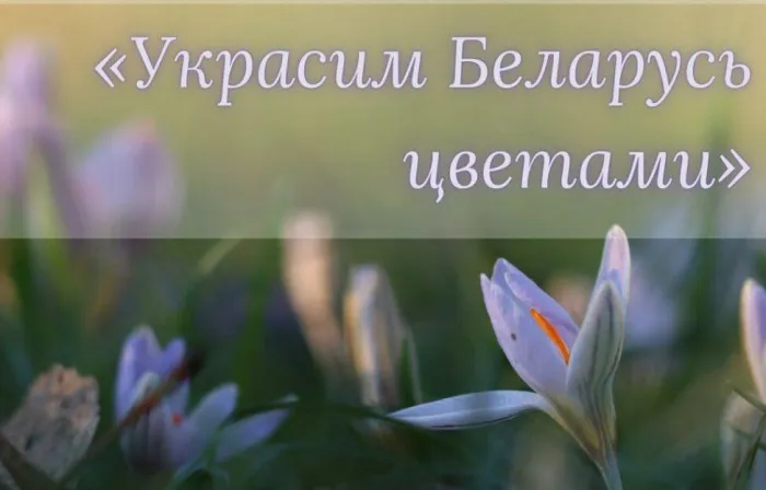 Министерство образования приглашает школьников принять участие в конкурсе по благоустройству и озеленению 