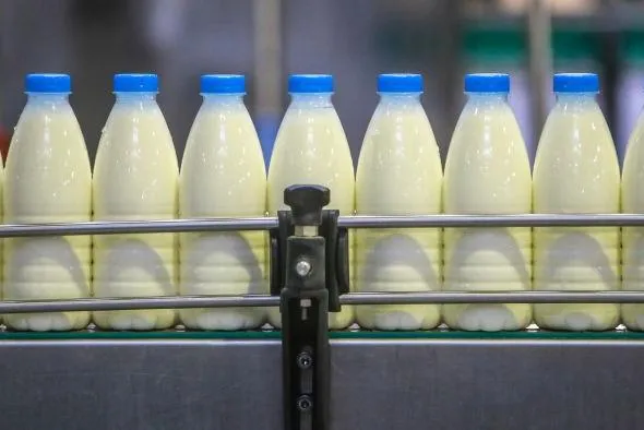 Египет заинтересован в молочной продукции и растительном масле из Беларуси