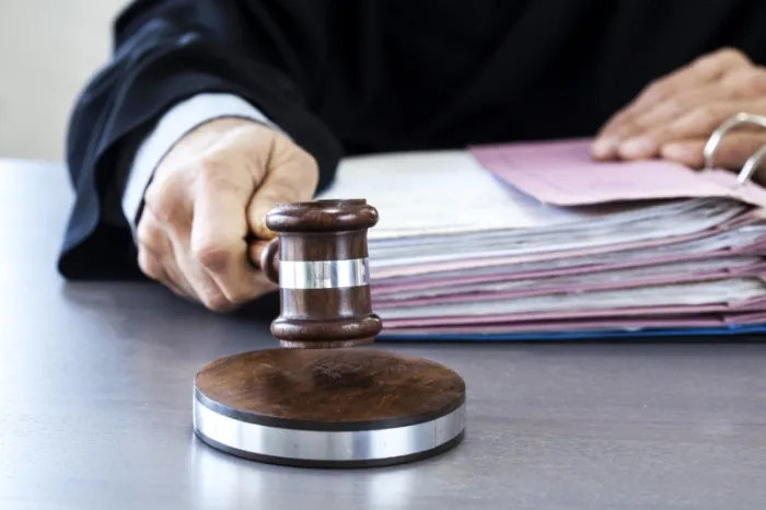 Суд вынес приговор трем жителям Добрушского района, которые умышленно скрывали количество умерших животных