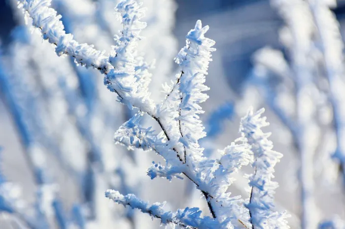 Осадки и до +5°C ожидается в Гомеле 18 февраля