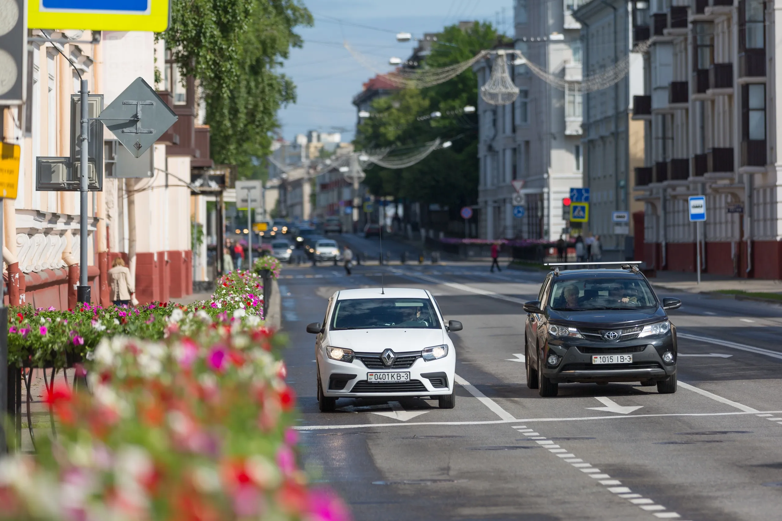 Видеофакт. Городские улицы радуют гомельчан обилием цветов