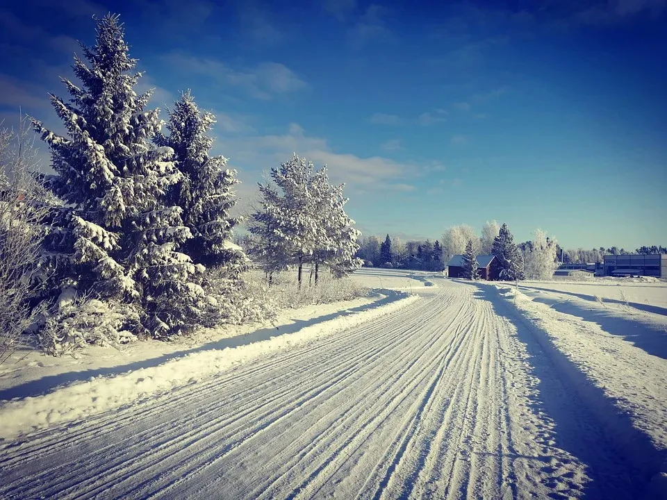 Гололедица и до -14°C ночью ожидается в Гомеле 17 февраля
