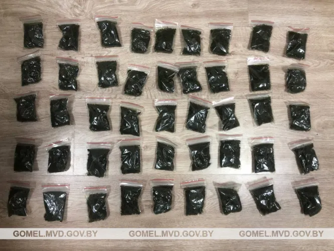 У жителя Мозыря изъяли более килограмма насвая