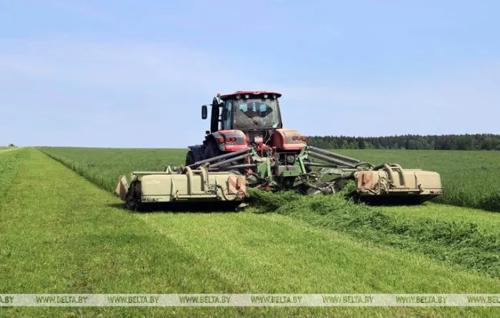 В Беларуси травы убраны с 977,7 тыс. га