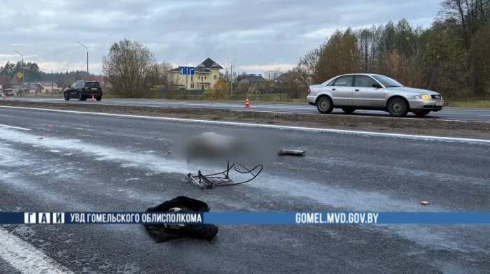 Сначала «Рено», потом «Хонда»: под Гомелем в ДТП погибла пенсионерка