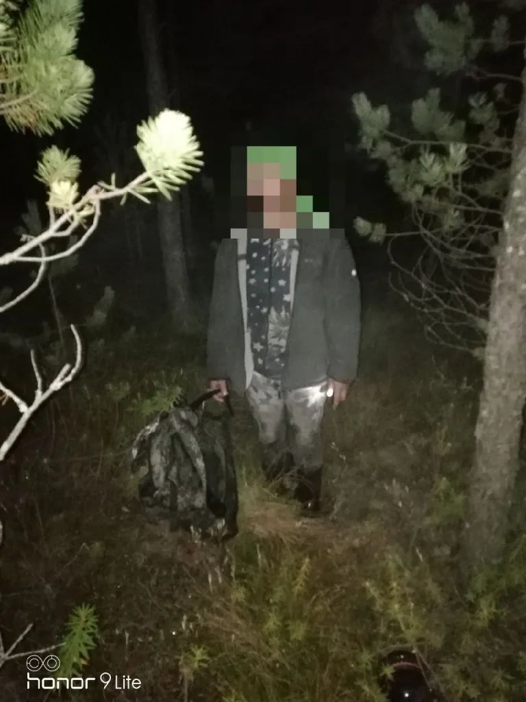 За прошедшие сутки спасатели нашли трех человек в лесу в Гомельской области