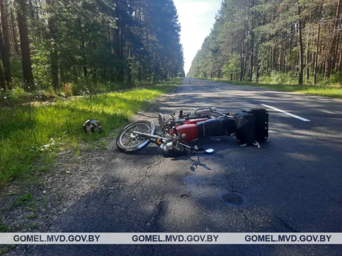 В Ветковском районе водитель мопеда попал в ДТП