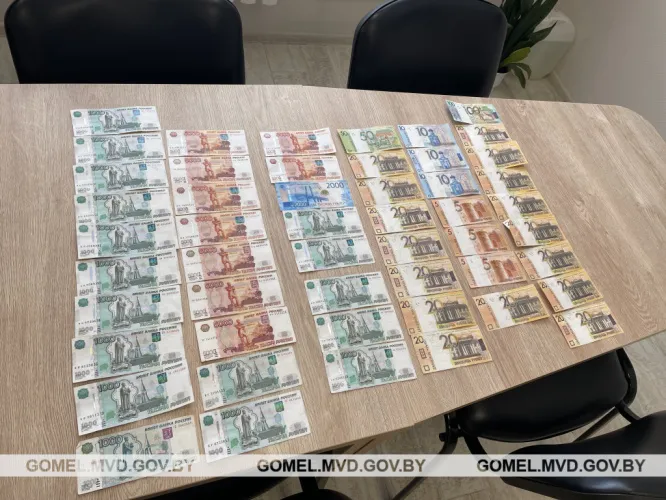 В Гомеле и Мозыре задержали валютчиков