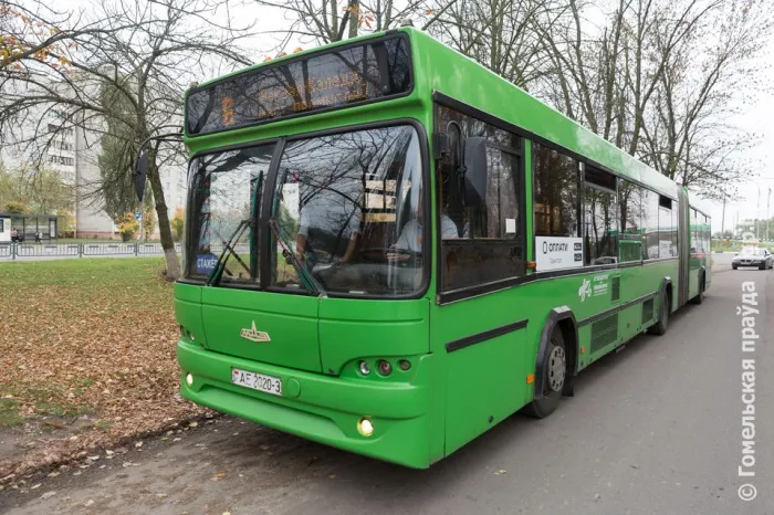 В Гомеле организуют движение нового автобуса №61а-ТК «Вокзал — улица Туровская»