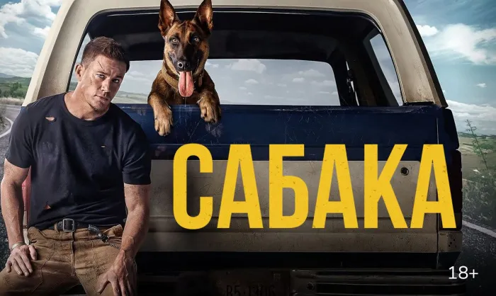 Кіно па-беларуску: анлайн-кінатэатр VOKA ад А1 выпусціў пяць знакамітых стужак у новай агучцы