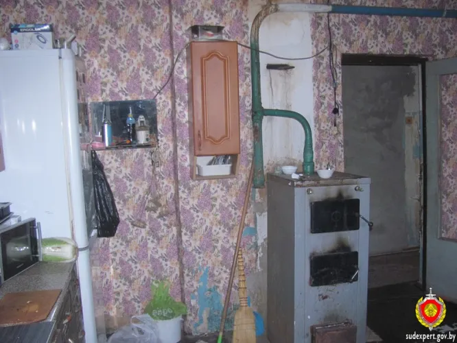 Судебные эксперты помогли раскрыть кражу денег в Кормянском районе