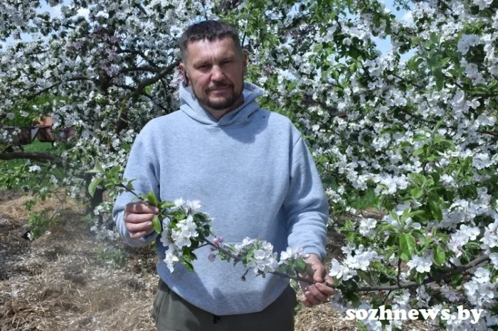 Глава фермерского хозяйства Леонид Парфеньков: «Нам по силам обеспечить страну фруктами и не быть зависимыми от импорта»