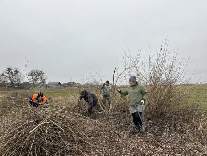 В нацпарке «Припятский» готовят новые места для гнездования куликов