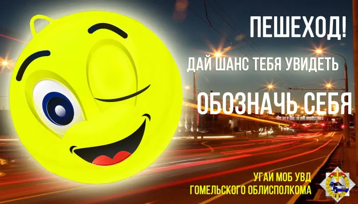 В Гомельской области готовятся к республиканскому Дню безопасности «Помоги себя заметить!»