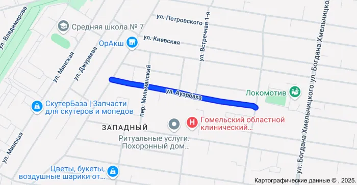 В Гомельском городском ЖКХ рассмотрели обращение жителей домов по улице Ауэрбаха, касающееся подтопления земельных участков грунтовыми водами