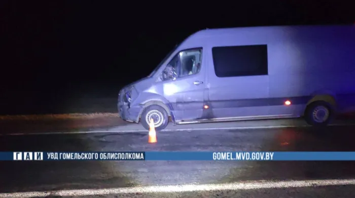 Пешеход погиб под колесами авто в Калинковичском районе