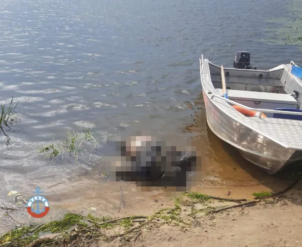 В Речицком районе из реки извлекли тело неизвестного мужчины