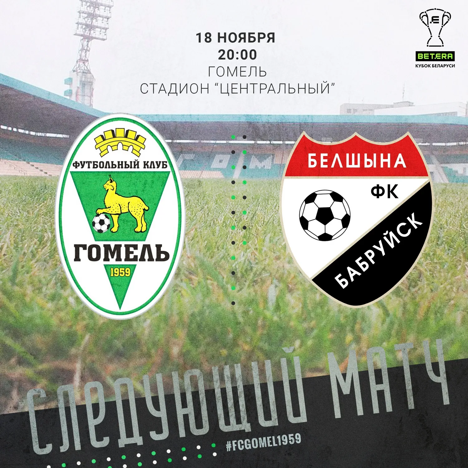 18 ноября ФК "Гомель" сыграет матч в Кубке Беларуси