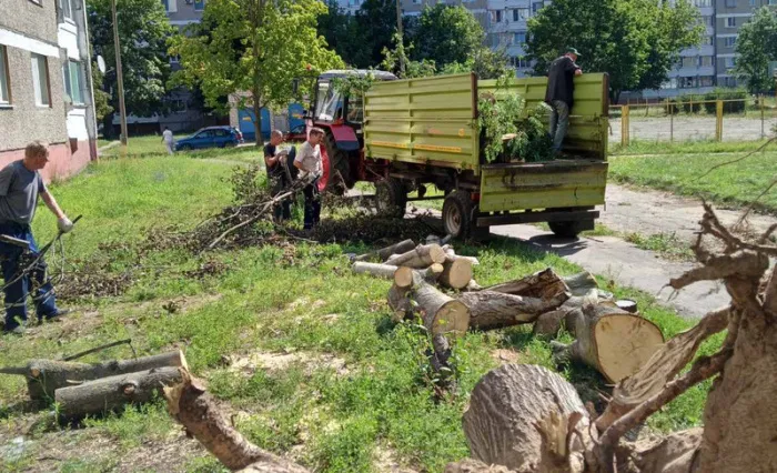 Горячая пора у коммунальных служб Жлобина: борьба с последствиями стихии продолжается