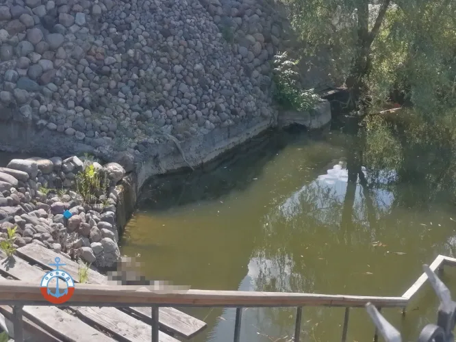 В Гомеле в пруду найдено тело мужчины
